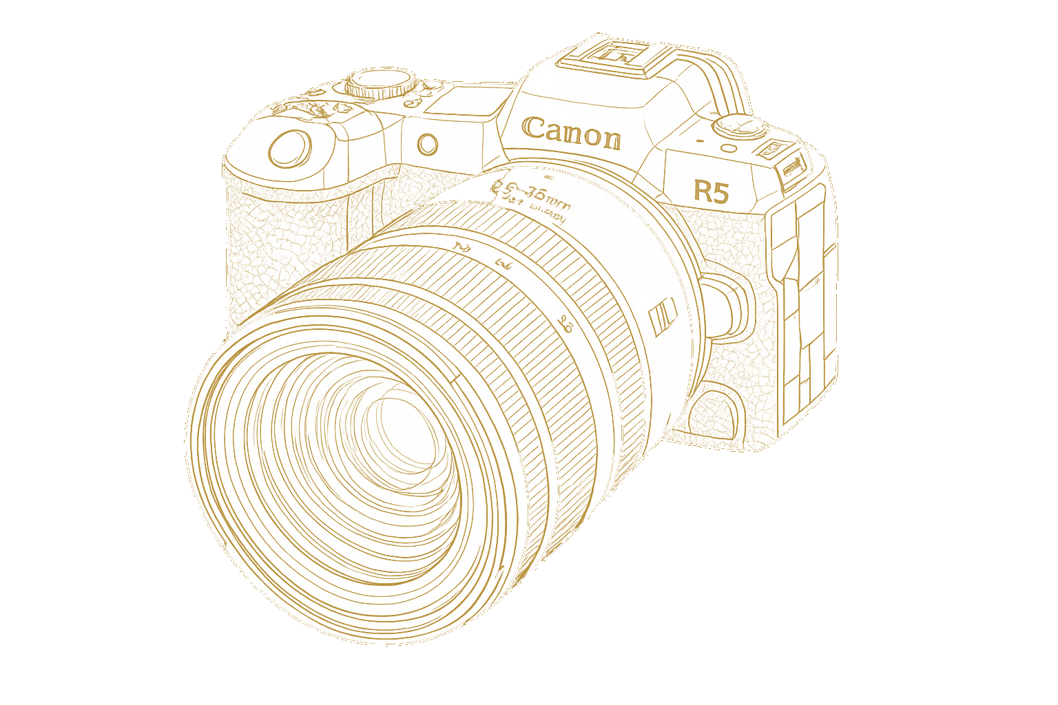 Professional mirrorless camera with wide-angle lens